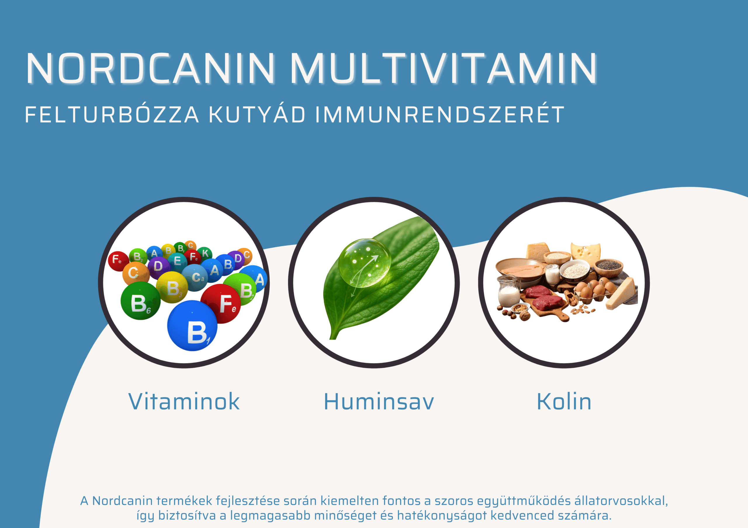 NordCanin Multivitamin