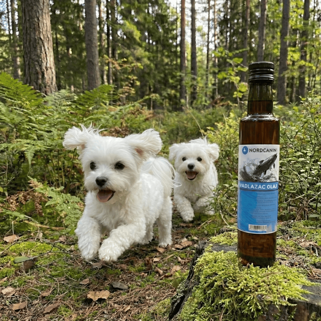 NORDCANIN Hidegensajtolt Vadlazacolaj