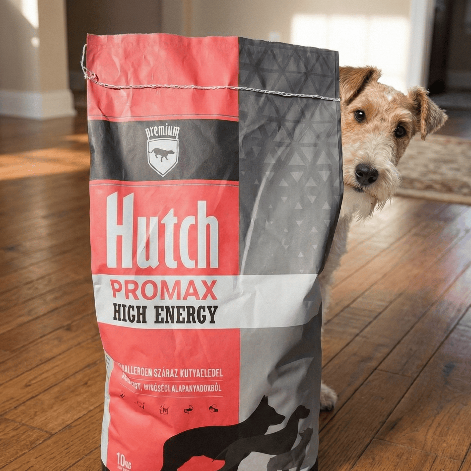 Hutch Promax High Energy 10kg